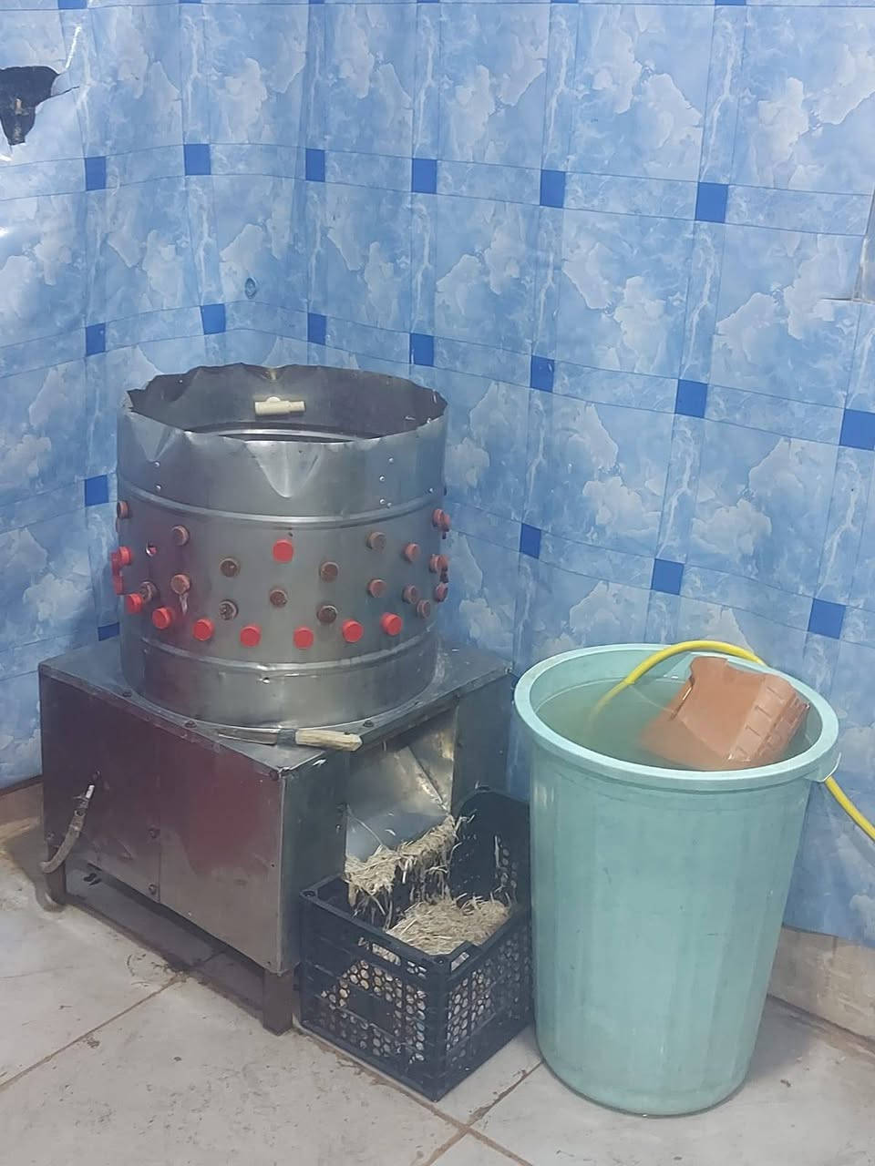 محل دجاج للبيع جاهز وغراض كاملة مع شواية
العنوان ناصريه الاسكان الصناعي 
للاتصال ***********

