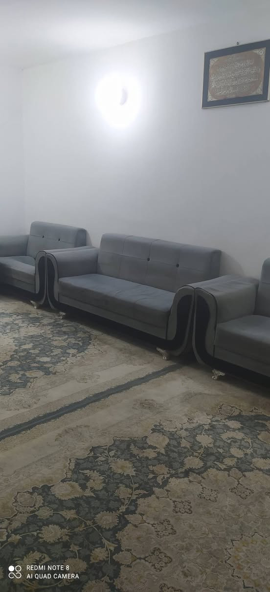 تخم قنفات للبيع 100 الف دينار بيع مستعجل عشر نفرات كامل اللون رصاصي ***********
