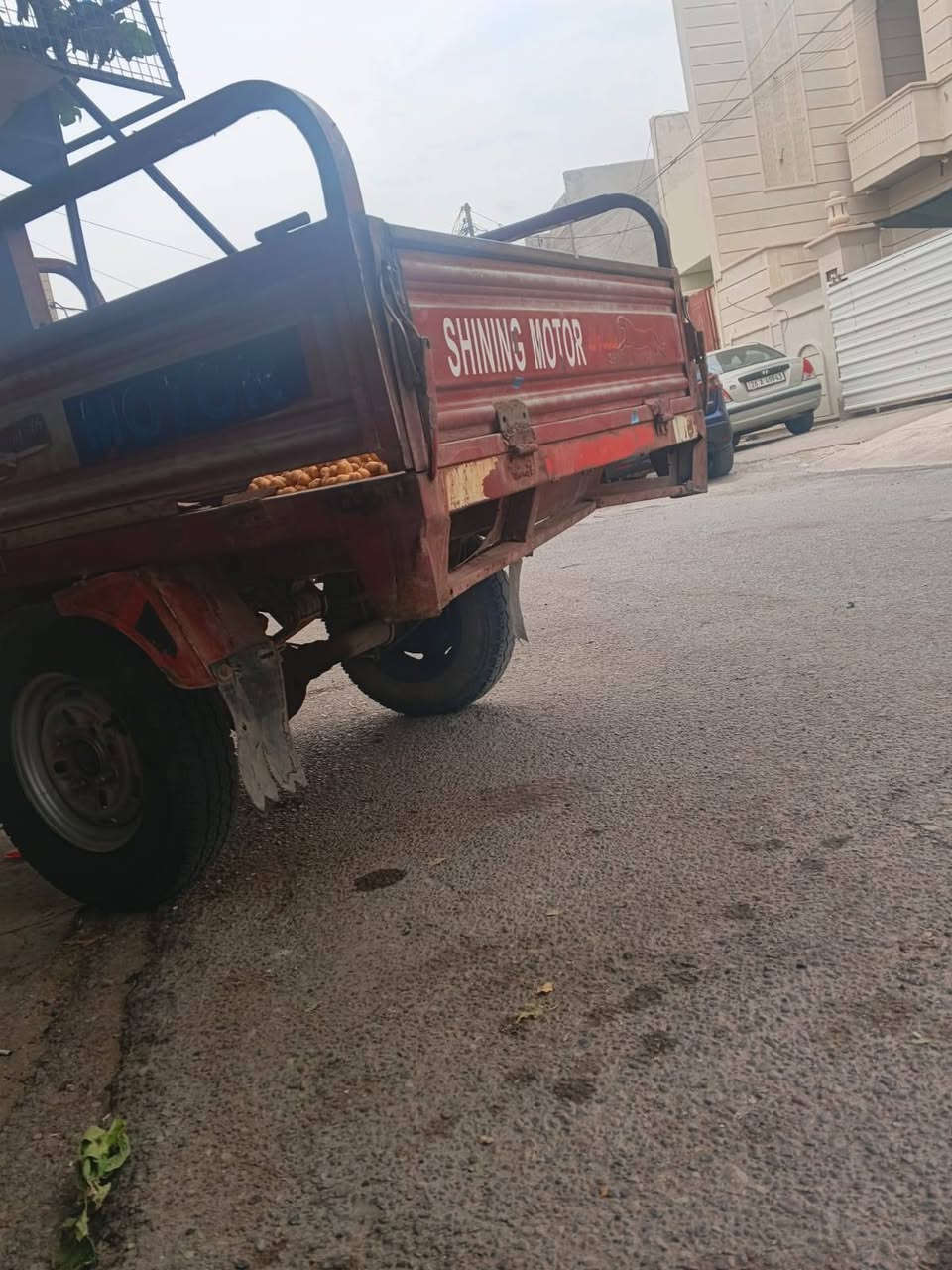 السلام عليكم  ستوتات البيع الحمره طاكه الركبه السوده بيهه عطل بلضفيره مكاني تكريت السعر الحمره 650السوده 650الرقم *********** احمد العزاوي
