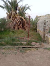 هيكل بيت • بستان سيد طاهر • ٢١٠م