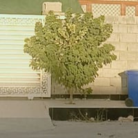 باب خارجي • سلايد • بدون عيوب