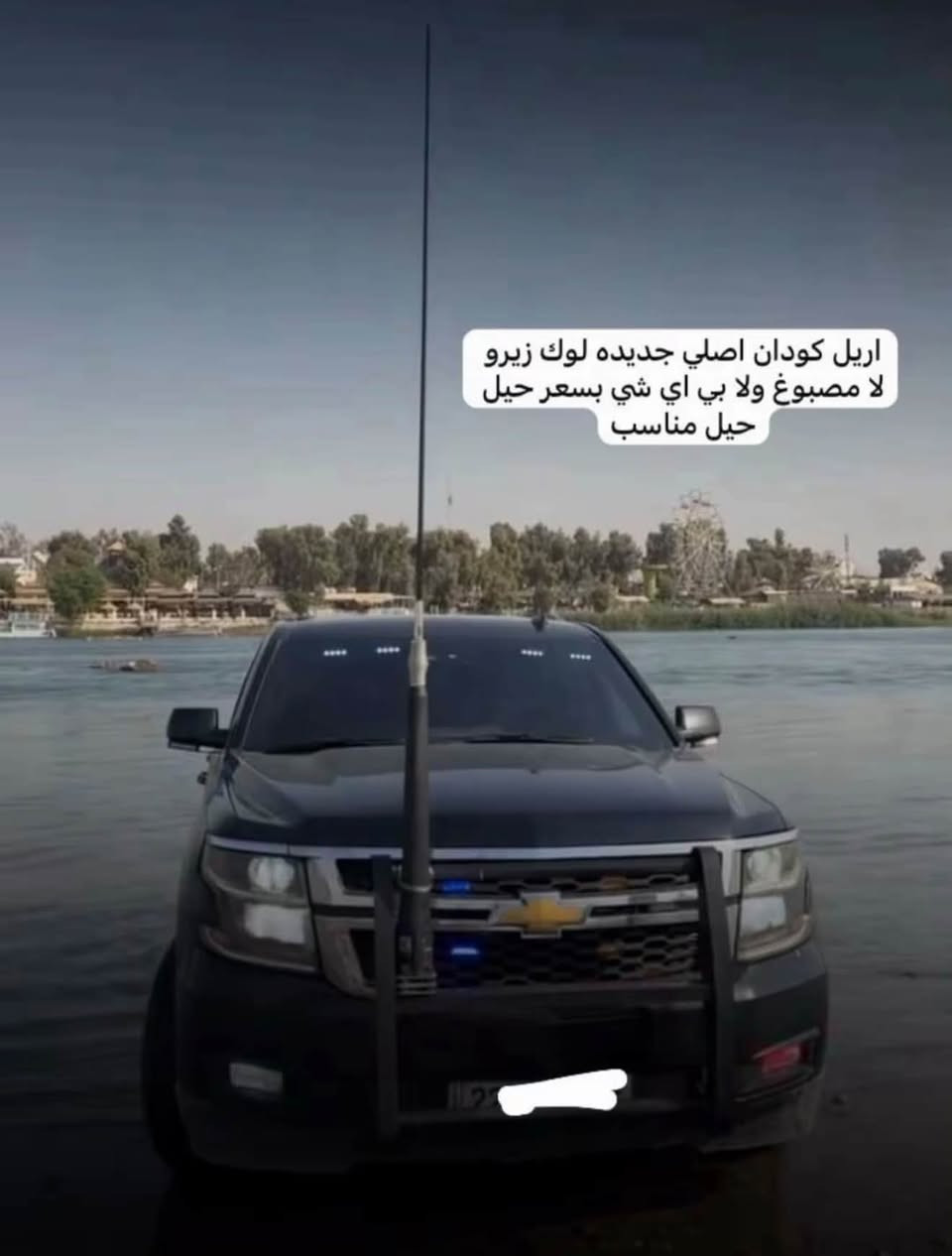 اريل • تاهو • نضيف
