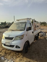 شيري حمل • ٢٠١٣ • كير مضروب