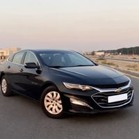 نقل طالبات • ماليبو حديثة • هياكل الغزالية