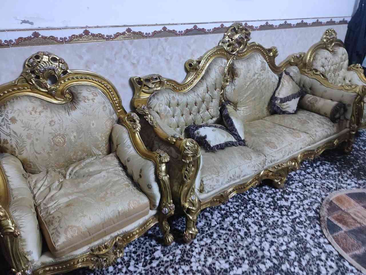 تخم ملكي للبيع 10مقاعد وتلث طلبات اي ضرر مابي بعده جديد جان مضموم الشراي يتصل *********** مكاني بغداد مدينت الصدر تقاطع الكياره بملكبر الغزلان
