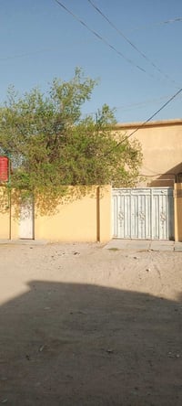 الزبير حي الهادي • ٢٠٠م • زراعي