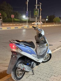 ماكس منغولي • مجال