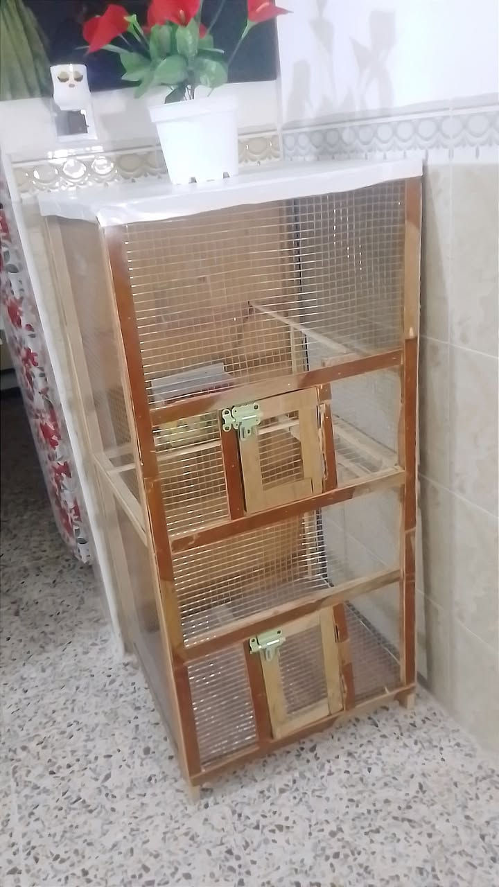 الشعب • عرض ٥٥سم • طول ١٢٠سم