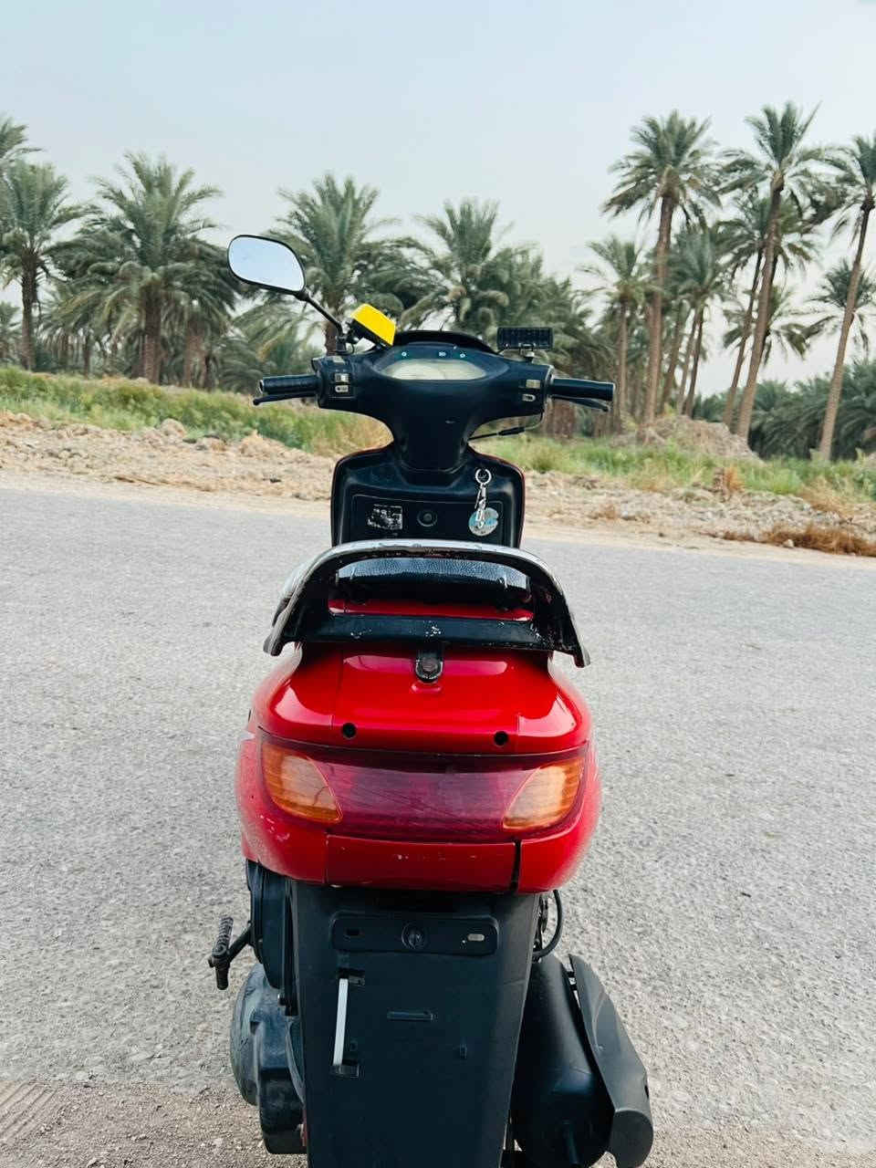 فراشه • فحل • نضيفة