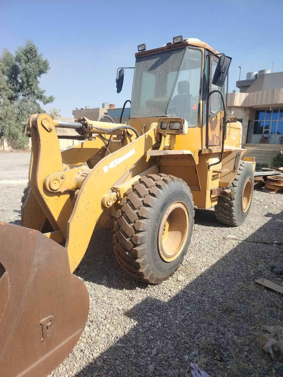 حجم ٦٥ • سنوي ٢٠٠٣