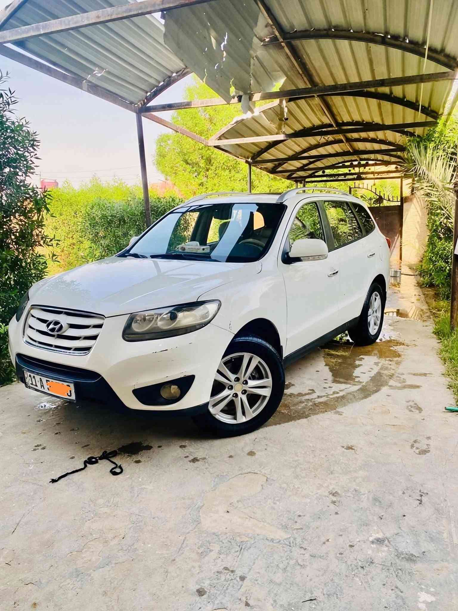 سنتافيا • ٢٠١١ • رقم بغداد