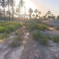 أرض زراعية • دونم ونص • قريب نهر دجلة
