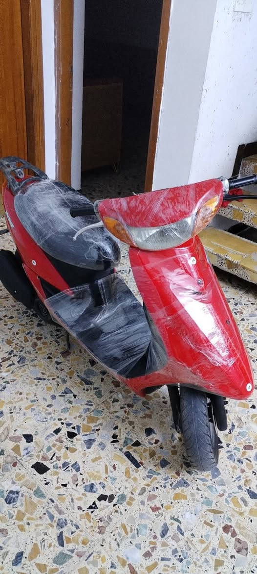 عصفوريه بلاديه سلف هندر السعر 350 وبيها مجال المكان بغداد مدينه الصدر الاستفسار الرقم ***********
