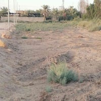 ابي الخصسب • ٢٠٠م • وقف سني