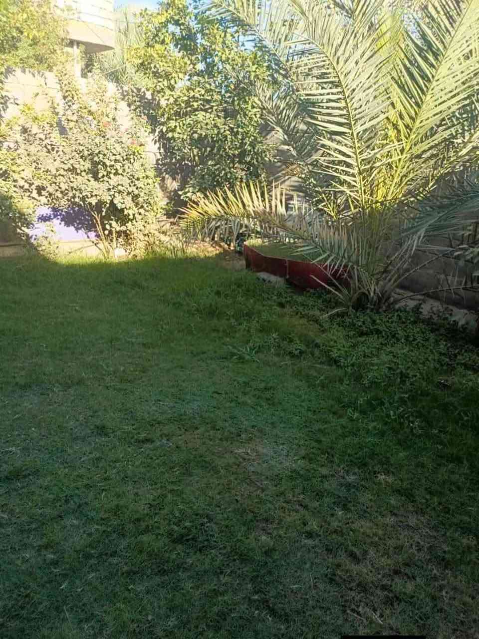 كربلاء طويريج • ٤٠٠م • طابو زراعي