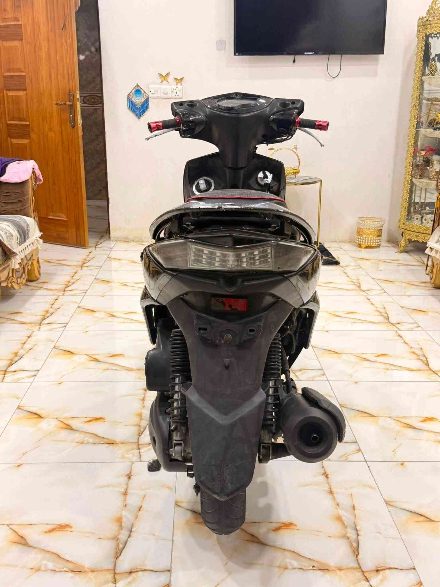 سكنس • ياباني • مكفوله