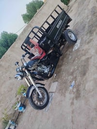 ستوته ٢١ • وراق صولي • شاصي مكفول