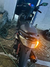 سكنس فحل • كوري • سلف