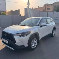 كروز • ٢٠٢٥ • مكفولة