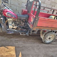 ستوته • ٢٠١٩ • اوراق كامله