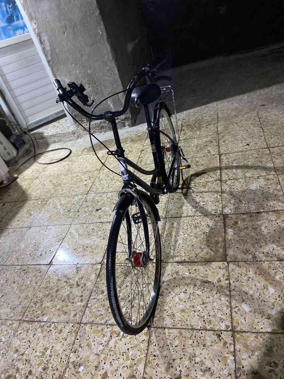 جديد • حجم ٢٦ • بغداد العبيدي