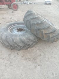 تواير بلاروس • حجم ١٨×٣٠ • سيد خيل الحصونه