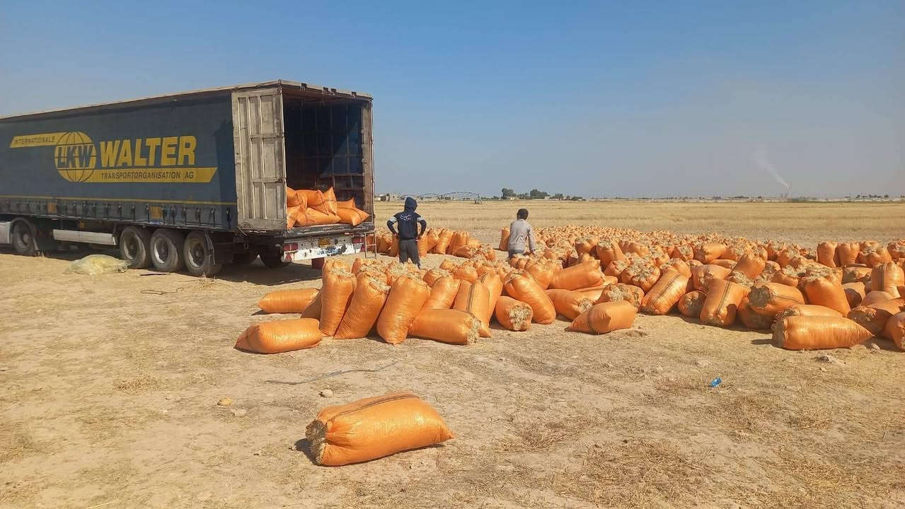 يوجد للبيع تبن حنطه مال السنة المكان سامراء ويوجد توصيل لجميع المحافظات السعر 2500 بل مكان ***********//***********
