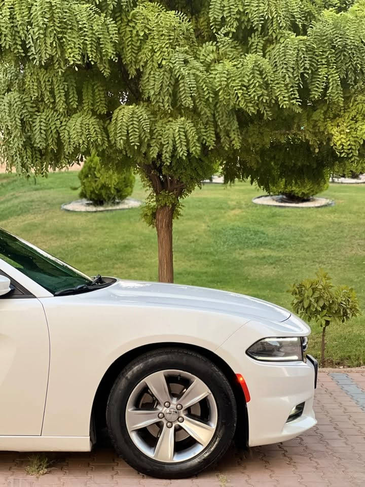 سلام عليكم
جارجر ٢٠١٨ sxt plus
كلين تايتل وارد كندي
سيارة كفالة عامة  بدون صبخ بدون بارد بدون مفتوح 
حتا دعاميات بدون صبخ
سيارة حيل جديد تسجل اول مرة حتالان
فول مواصفات 
بصمتين موجود
رقم سنوية جديد حتا ٢٠٣١ بسمي
فحص هزة جديد 
٤ تايرات جديد
***********
*********** watsapp
مكان سليمانية
