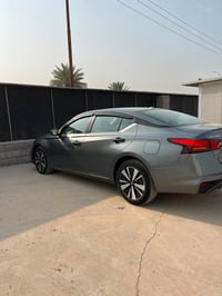 التيما SV • ٢٠٢٢ • بدون صبغ