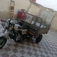 ستوته • مديل ٢٠ • اوراق اصولي