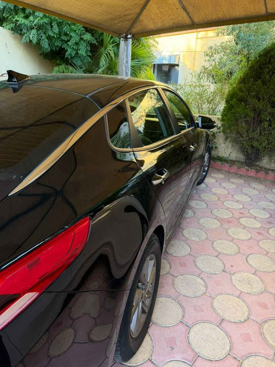 أوبتيما • ٢٠١٩ • وارد امريكي
