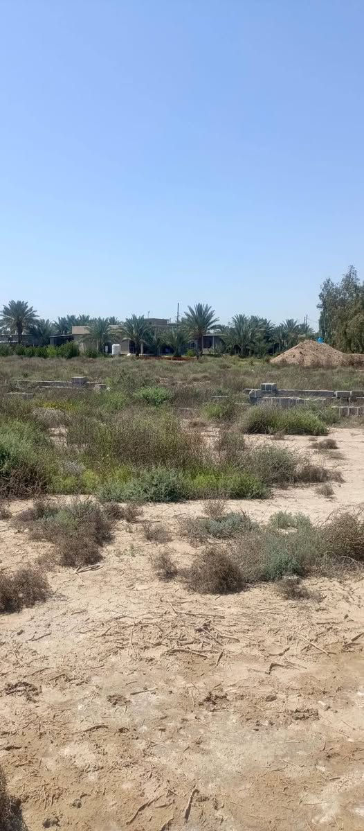 2دونم لبيع علا طريق الزائرين الواحه 33متر علا الشارع العام سعر الدونم 
170مليون وبي مجال لشرائح الاتصال ***********
