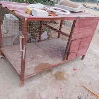 قفص • نجف • نداء