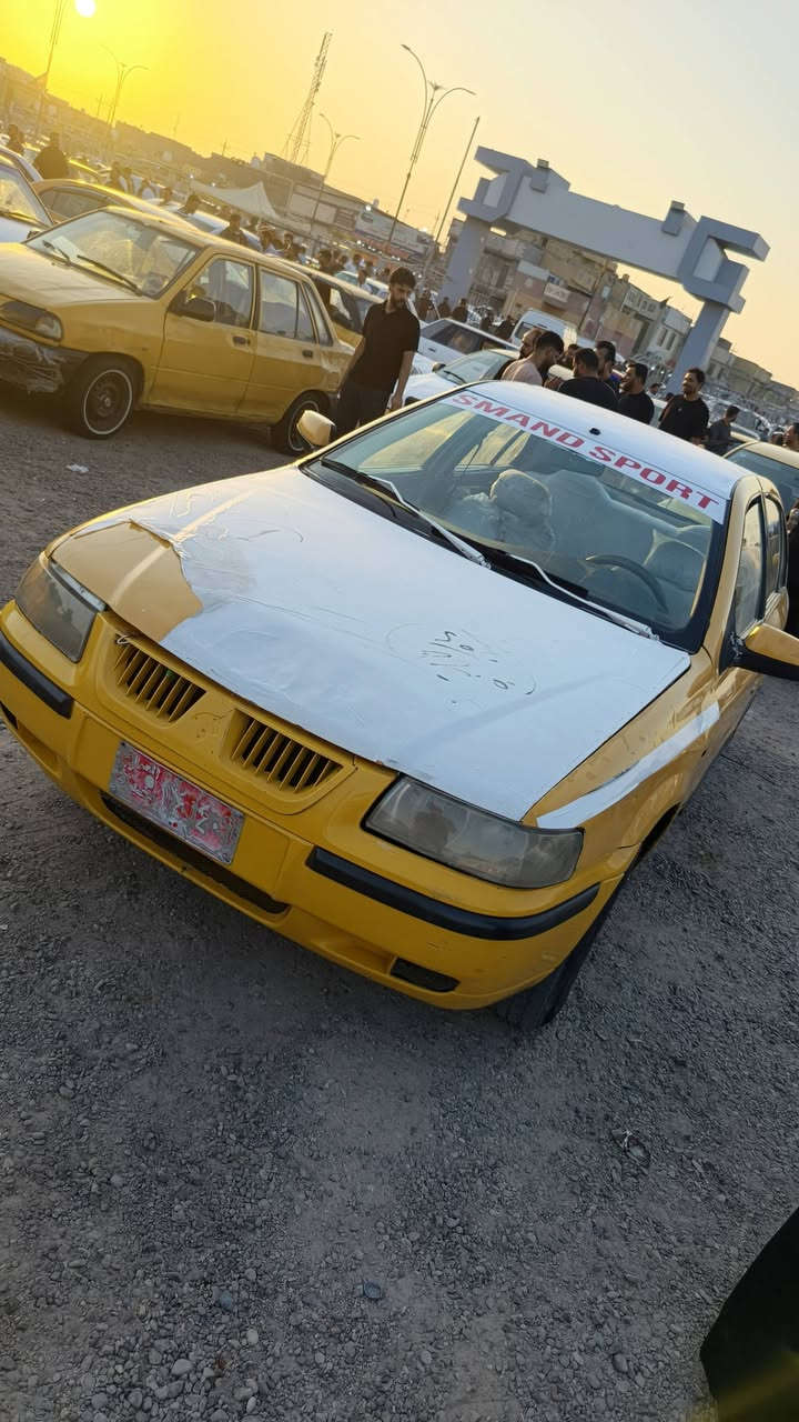 سمك مدير 11 • فيها مجال • للبيع
