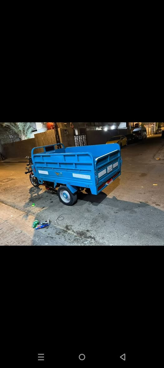 ستوته • دولفين • كفاله