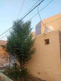 شارع المطار • ١٠٠م • غرفة وصالة