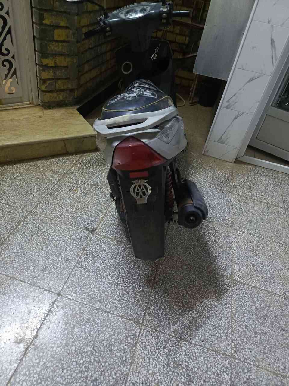 ثعلب • نضيفه • كماليه