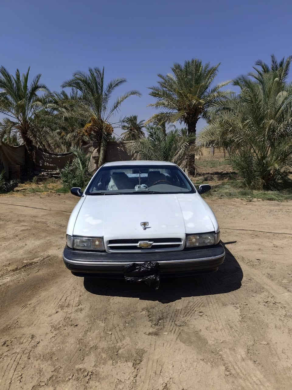 سلام عليكم دولفين للبيع مديل 96 رقم مثنئ مشروع وطني مكينه  محور فففتي جديده / اكسن محور بيهة شلعه  
منضومه تبريد مغيره جديده شغال تبريد شغال 
السعر 45 وبيها مجال وذا اكو مراوس حسب القناعه 
*********** رقم الهاتف /مكلف بل النشر

