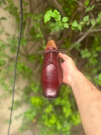 زينوبي • صنع إيطاليا • قياس ٤٠