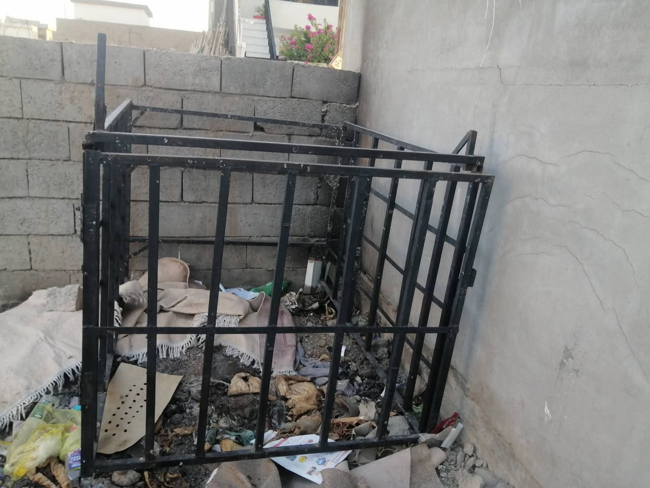 جنج ستوته للبيع كامل ما بي أي نقص بس شده المكان السعر خاص كركوك ***********
