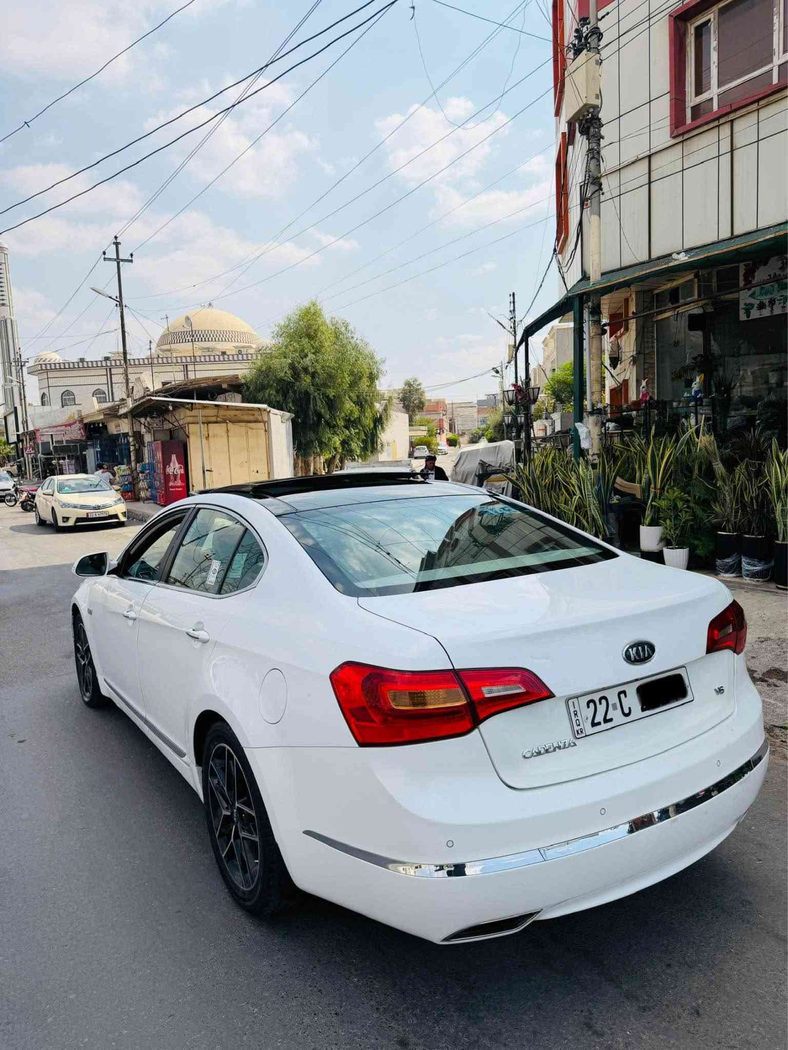 فول • بانوراما • ٢٠١٠