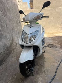 سكنس فحل • معدل • من الوكيل