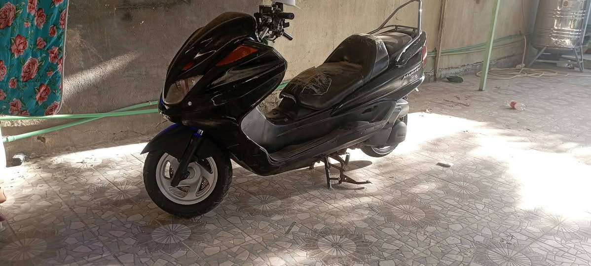 ماجيسته • دبل رون • رياضية