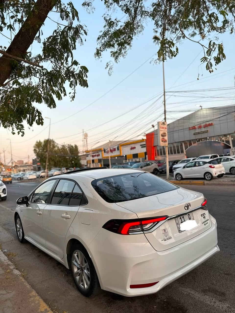 كوريلا هايبرد موديل 2024
ماشية23 الف حقيقي

فول مواصفات 

داخل اسود

مكفولة كفالة عامة

لايتات زينون 

سايد بريك دگمة

تبريد شاشة 

سونارها موجود

للاستفسار :***********
