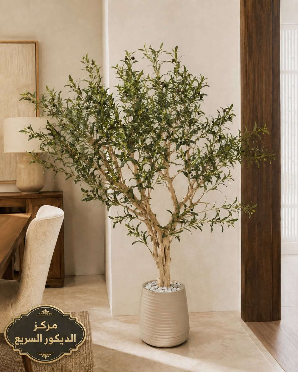 غيّر شكل المكان بلمسة وحدة! 🌿

وصلت تشكيلة مميزة من الأشجار الديكورية بتصاميم أنيقة تناسب البيت، الصالات، المداخل، المكاتب والكوفيات ✨

#المميزات:
✔️ شكل طبيعي وجذاب
✔️ تضيف فخامة وهدوء للمكان
✔️ مناسبة لمختلف أنواع الديكور
✔️ متوفرة بأشكال وأحجام متنوعة
اختار الشجرة اللي تناسب ذوقك وخلي زاوية المكان تصير أجمل 🌱

🚚 #توصيل_متوفر_لكل_المحافظات

📍 #العنوان:
كربلاء / سريع حي المعلمين / داخل شركة أبراج للديكور

📞 #للطلب_والاستفسار:
☎️ *********** ☎️
💬 #واتساب_مباشر:
https://wa.me/9647725000885
🕑 #اوقات_الدوام:
من الساعة 7 صباحًا إلى الساعة 10 مساءً

#مركز_الديكور_السريع
#اشجار_ديكورية
#ديكور
#كربلاء
