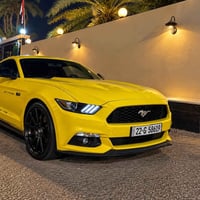 موستنك • ٢٠١٥ • رقم اربيل