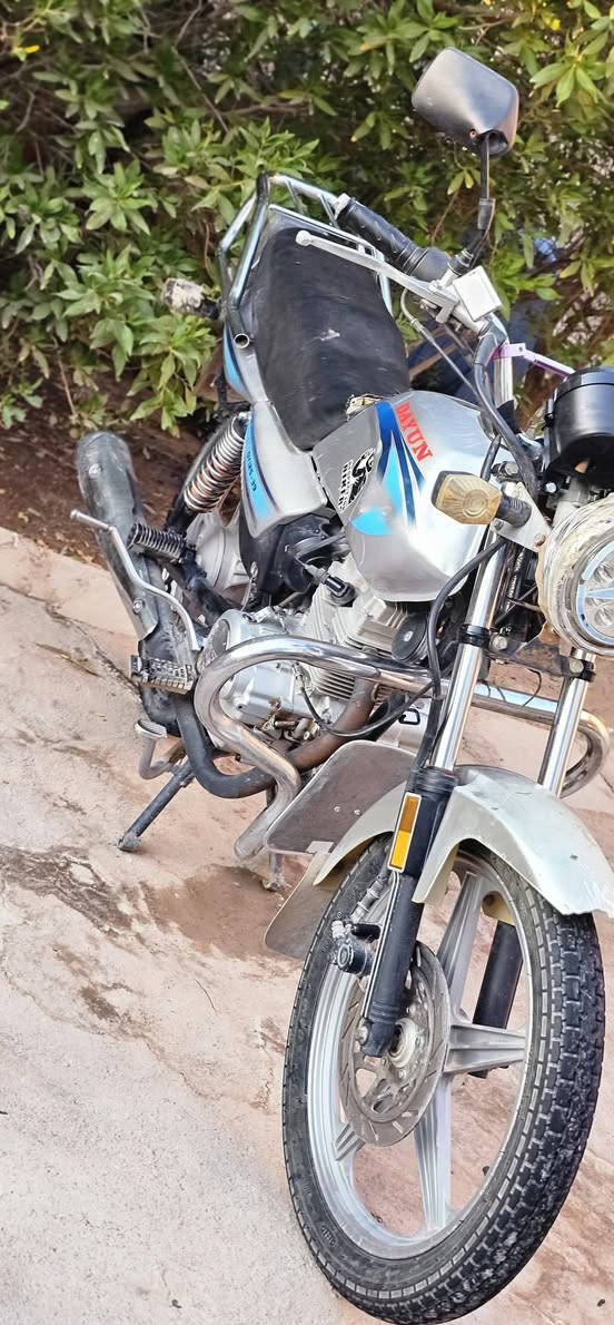 دايون عضم 19 كفاله بيع مراوس مكان الكوت ناحيه شيخ سعد (***********)السعر450
