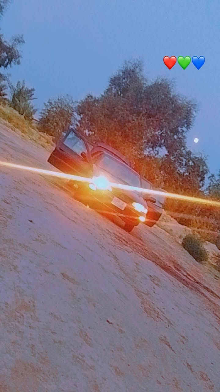 سيفيا ٩٥ • كير عادي • صبغ عام