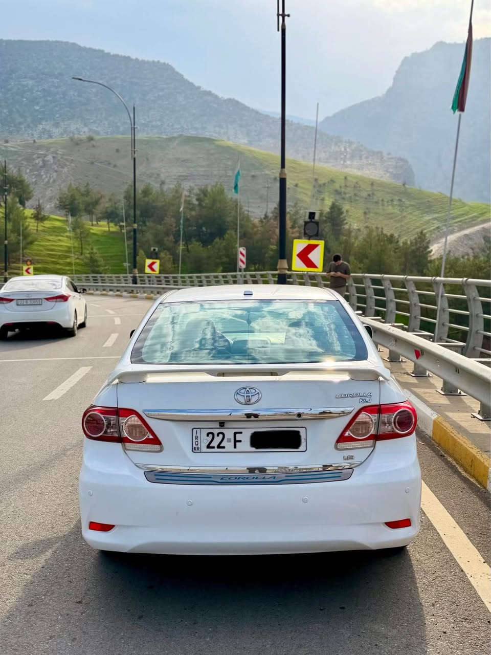 بيكاسو • ٢٠١٣ • ابيض