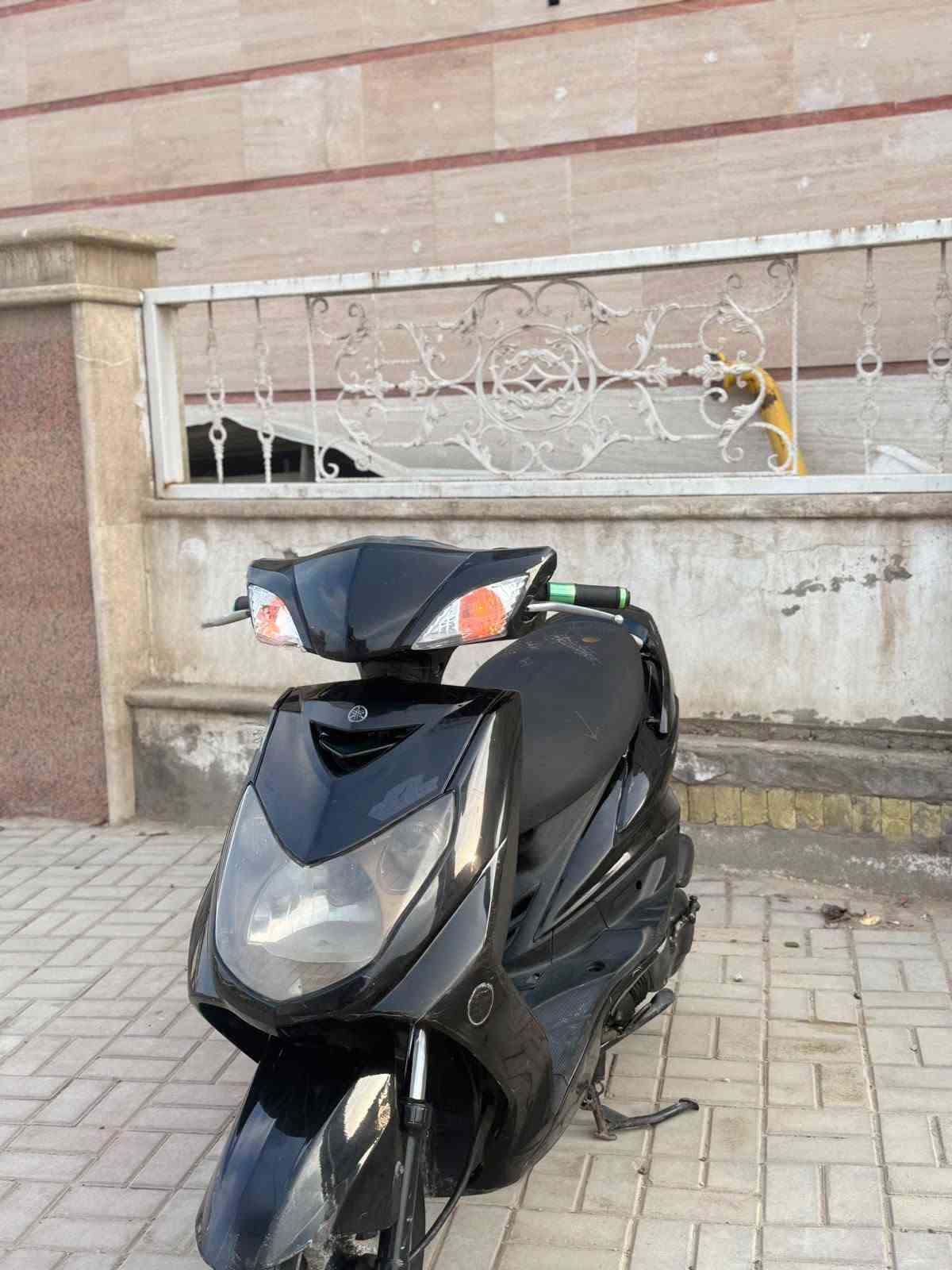 سكنس فحل • جديده • كفاله